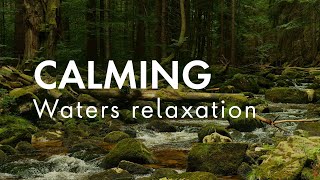 Calming Waters Relaxation | Relaxing Music, Sleep Music, Stress Relief, Calming Music, Meditation