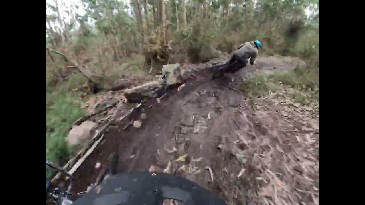 24 de febrero de 2026