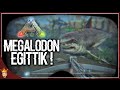 KÖPEK BALIĞI ! | ARK Türkçe Multiplayer | Bölüm 21