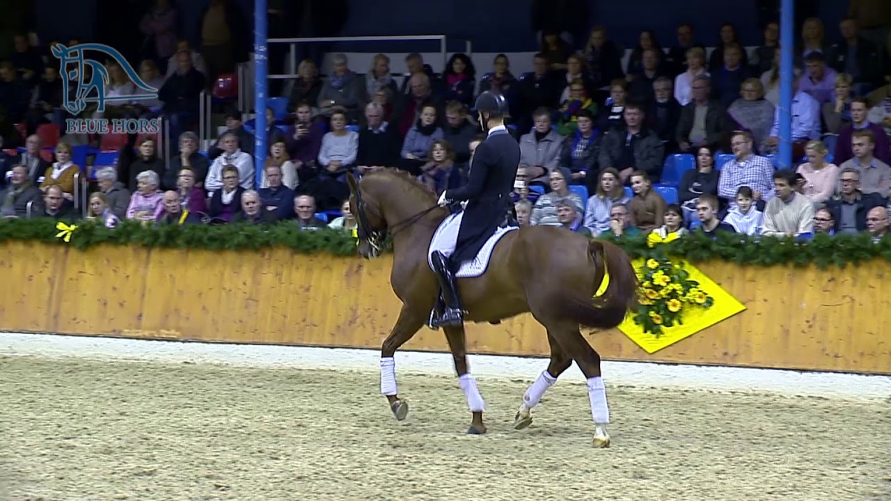 Blue Hors Veneziano change de selle