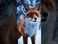 The Cybernetic Fox in the Snow