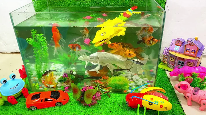 Let's explore what fish and sea creatures there are:sharks,jellyfish#goldfish#animals#viral videos