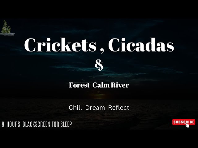 Sounds of Light River In Forest at Night - Cicadas, Crickets, 8 Hours Blackscreen class=