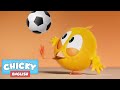 Where's Chicky? Funny Chicky 2020 | PLAY SOCCER | Chicky Cartoon in English for Kids