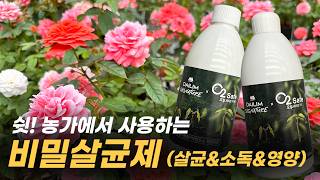 🎉1년간의 실험을 통해 출시된 친환경 살균제 소개드려요!