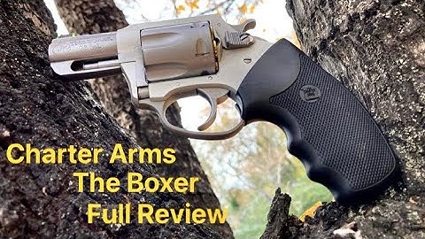 Cover Image for Honest Budget Friendly Reviews | Gun Shop Finds | Charter Arms The Boxer | .38 Special Full Review