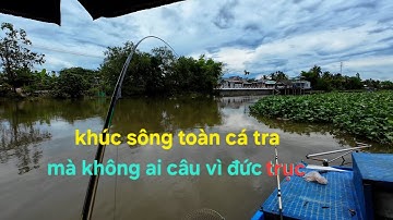 Điểm câu cá tra cực đã gần cảng cái cui, cần thơ