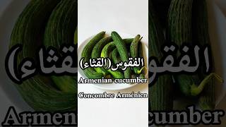 فوائد الفقوس أو القثاء/Armenian cucumber benefits/Les bienfaits du concombre Arménien#shorts