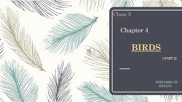 Class 3 | Chapter 4 | BIRDS | Part 2 | Feathers and beaks