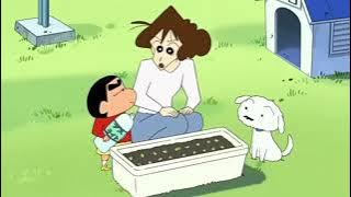 shinchan new episode | aaj hum gajar ugainge episode in hindi | #shinchan #shinchanlover