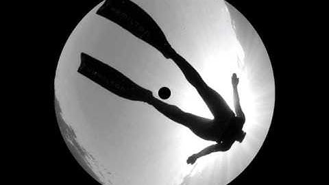 SWLTD03 :  PerceiverReceiver - AlternativeTransmission