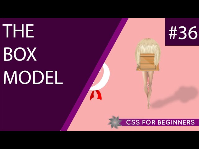 CSS Tutorial For Beginners 36 - The Box Model