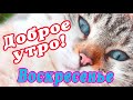 🎺 УРА ВОСКРЕСЕНЬЕ! 🎺 ДОБРОГО УТРА / ДОБРОЕ УТРО / С ДОБРЫМ УТРОМ / ДОБРОГО УТРА ЛЮБИМОЙ / КАРТИНКИ