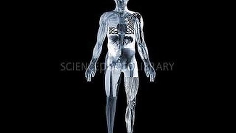 The Science of Body Language / Embodiment