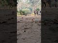 Cricket ke kuchh pal (Rate the Shot)