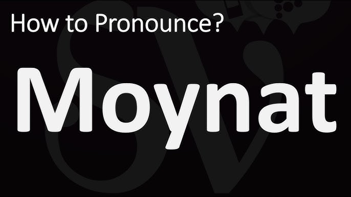 MOYNAT Oh Tote Bag MM 1 year Review & Details + Bonus Unboxing 