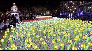 【4K】夜景サミット2015 in 神戸　東遊園地でイルミネーション