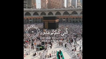 إِنَّ الَّذِينَ قالوا رَبُّنَا الله ثم اسْتَقَامُوا | للقارئ احمد النفيس☁️💙.