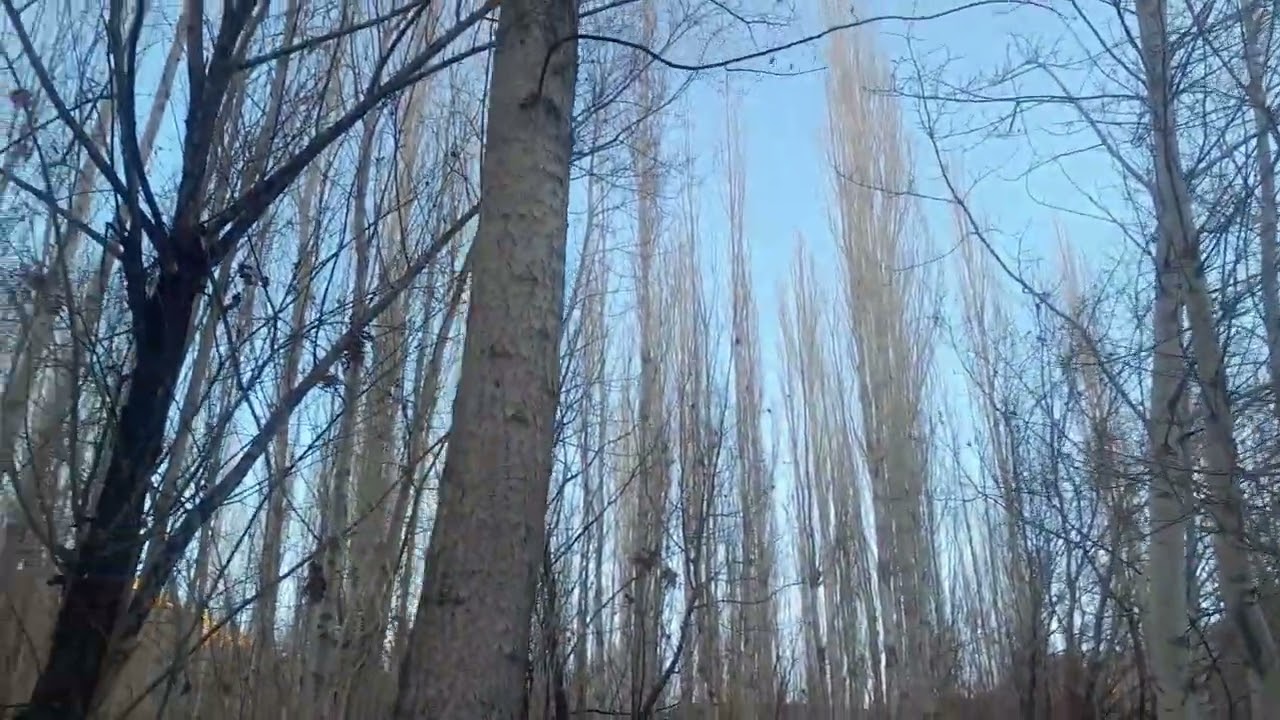 به مالستان بهارانش چی زیباست / غریوآبشارانش چی زیباست ؛!