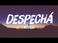 DESPECHГЃ ROSALГЌA Lyrics Video рџЋё DESPECHГЃ ROSALГЌA Lyrics Video рџЋё