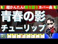 🔰【コード付き】青春の影 / チューリップ 弾き語り ギター初心者