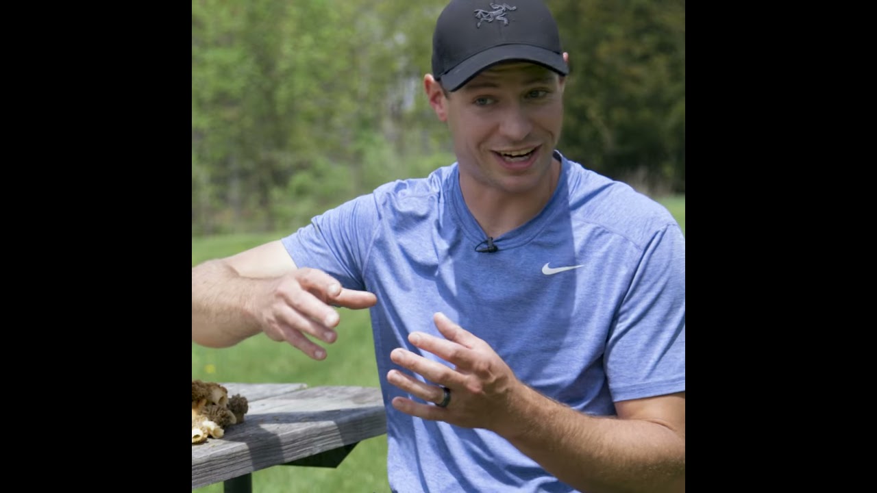 How to tell the difference between Morels and False Morels