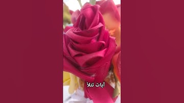 ماهر المعيقلي سورة النصر