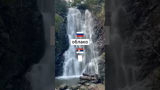 Учим сербский каждый день. Упражнения и викторины на сербском языке