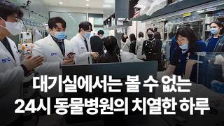 '이렇게 바빠요..?' 대기실에선 절대 못 보는 24시 동물병원의 진짜 하루ㅣNEVEROFFㅣ역삼 SNC동물메디컬센터