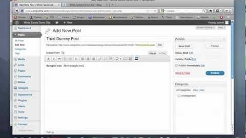 Updating Your Wordpress Blog