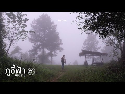 เที่ยวภูชี้ฟ้า นอนแคมป์ลุ้นชมทะเลหมอก เชียงราย | Travel 101 | Phu Chi Fa SS2:Ep13