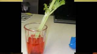 Water Movement in Plants Video.mp4
