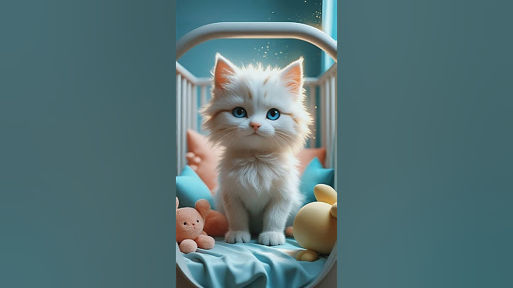 🇺🇸 This Baby Kitten Has Something to Say! 🐾😹
