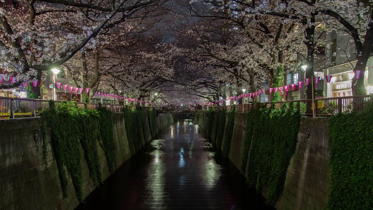 Sub:liminal - Memories Of A Guzheng