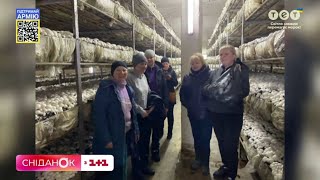 Як власниця грибної ферми на Київщині Наталя Ільчук адаптувалася до умов війни