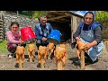 Vidos relaxantes sur la vie dans un village azerbadjanais dlicieux plats selon les traditions