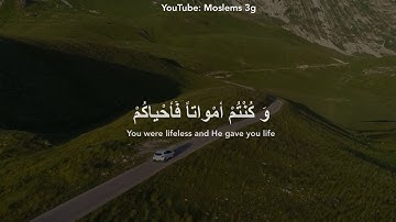 سورة البقره القارئ اسلام صبحي ( كيف تكفرون بالله)
