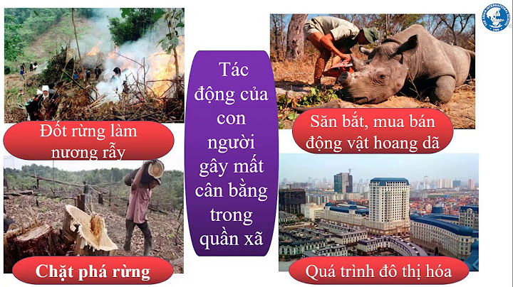 Bài tập trắc nghiệm môn sinh hocj9 hệ sinh thái