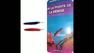 قراءة نقدية للديوان الشعري :Sur la pointe de la rémige الجزء الثالث..