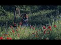 Feathers theme forrest gump  by inge louisa on harp