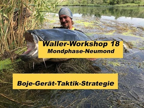 Waller-Workshop Teil 18 / Bojenangeln-Taktik-Strategie / Mondphasen / Angelgerät  by Stefan Seuss