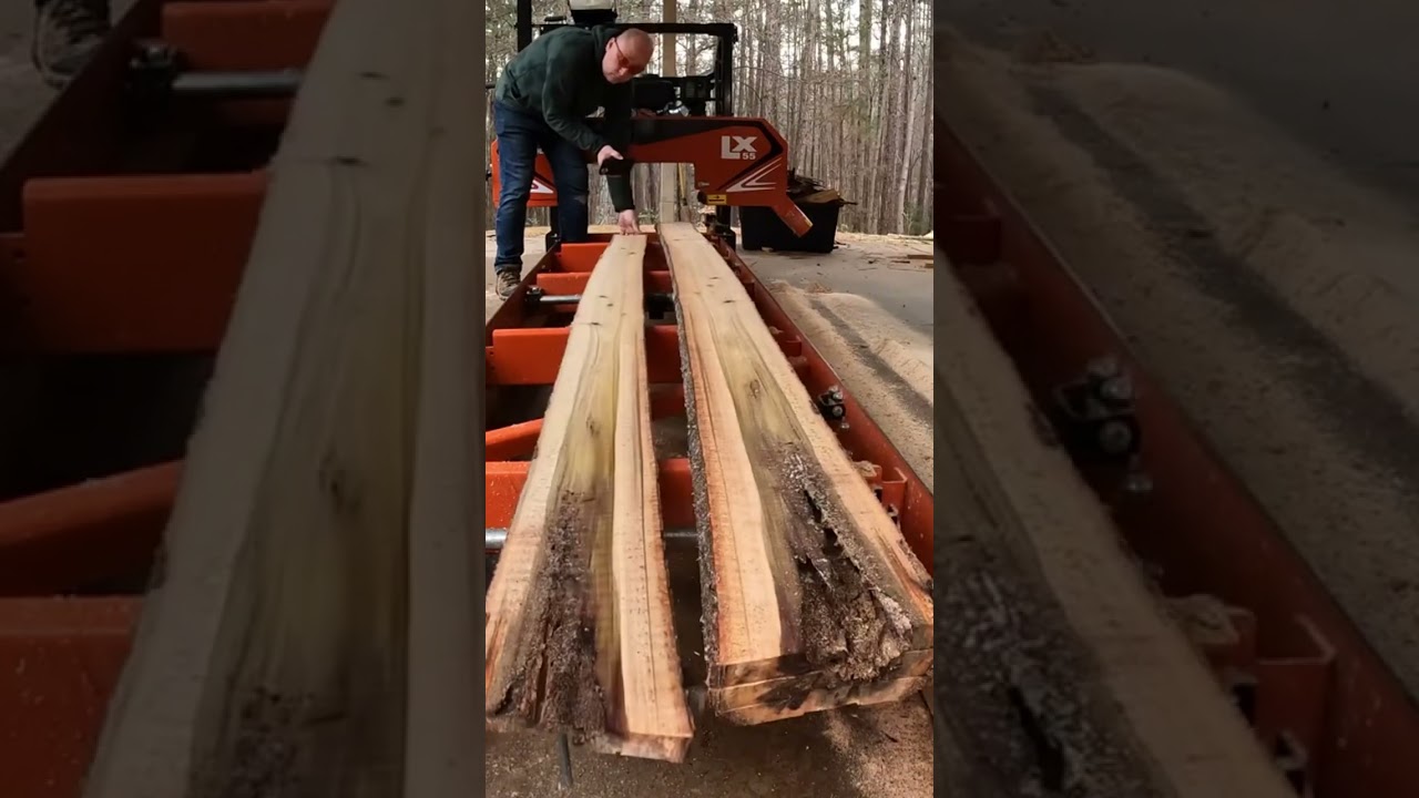 Пилорама WoodMizer LX55 и дерево тополь 