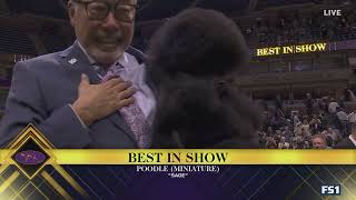 Sage the Miniature Poodle wins Best in Show | Westminster Kennel Club