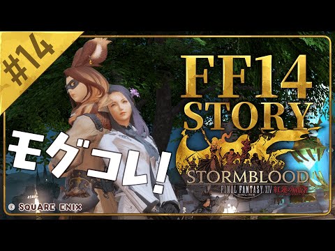 【FF14】紅蓮のストーリーをのんびり進めるのすけ！【参加募集】【Vtuber】