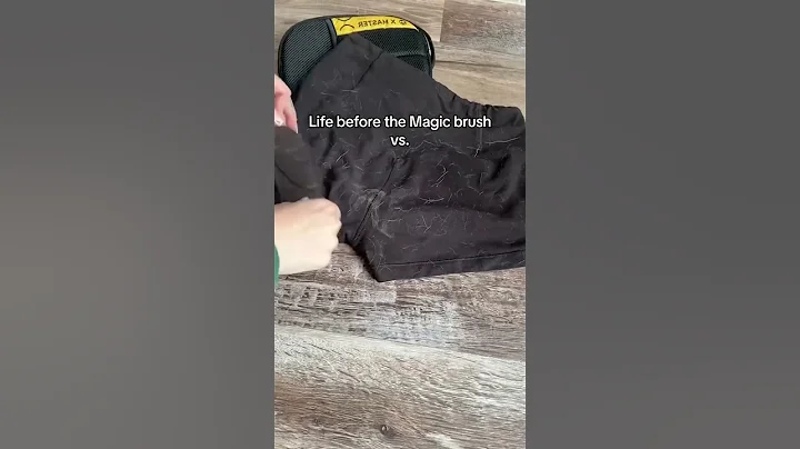 ✨ 50% OFF – Limited Time Only! ✨