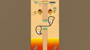 Save the dog level 121😯