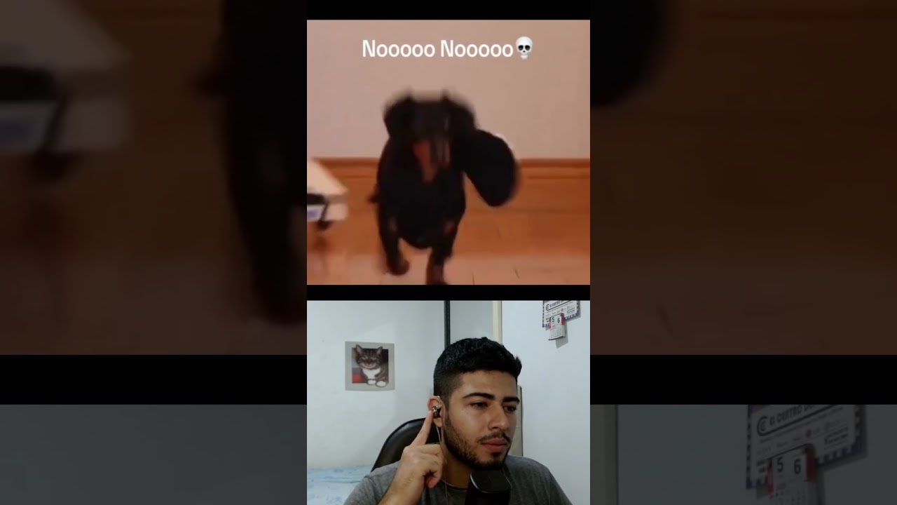 El origen de NOO LA POLIZIA🥺 NOO #shorts #viralvideo #fyp #humor #ia   #aivideo