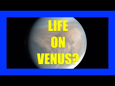 What We Found on Venus EXPLAINED | [OFFICE HOURS] Podcast #022
