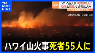 ハワイ・マウイ島で8日未明に発生した山火事 死者55人 被害拡大の理由「乾いた空気」と「強風」｜TBS NEWS DIG