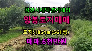 김천 대덕면 가례리 양봉토지 싼땅 #103번